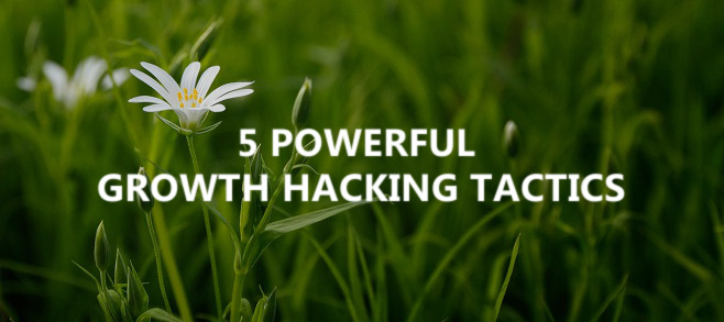 5 powerful growth hacking tactics