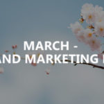 March 2019 – SEO and marketing news