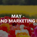 May – SEO and marketing news