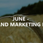 June – SEO and marketing news
