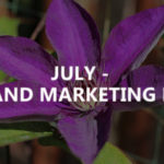 July – SEO and marketing news