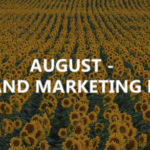 August 2019 – SEO and marketing news