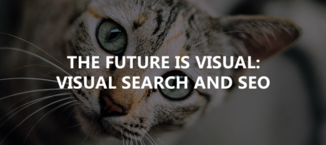 The Future is visual: visual search and SEO