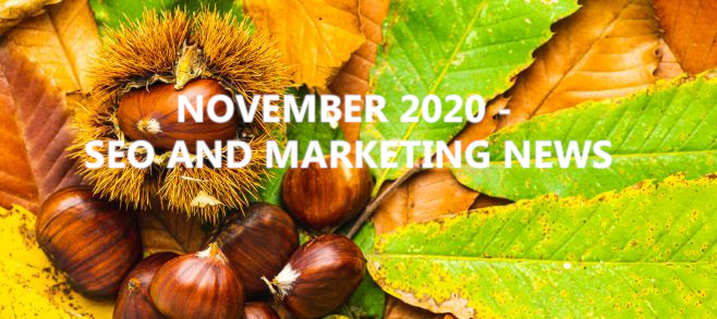 November 2020 – SEO and Marketing News