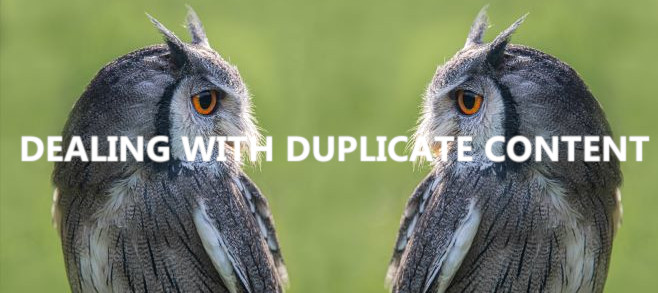 Dealing with duplicate content